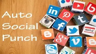 Auto Social Punch social network syndication services