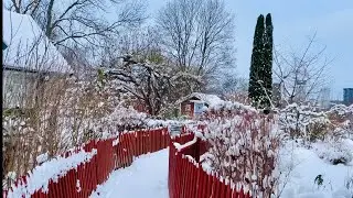 Stockholm Walks: Tanto Snowy gardens of S&ouml;dermalm. Relaxing winter experience, 4K with nature sounds