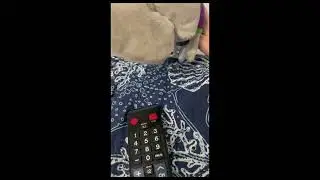 The Chuck E. Cheese series season 1 episode 5 buzz lightyear attack 