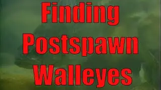 In-Fisherman Classics: Where to Find Postspawn Walleyes