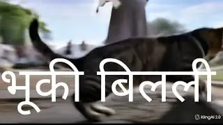 Hungry cat bhooki billi😭😭😭😭