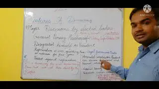 FEATURES OF DEMOCRACY, MAJOR DECISIONS BY ELECTED LEADERS