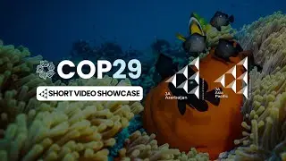 INDIA Green Pages Business Video Company 1