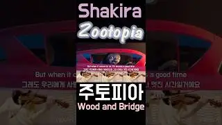#샤키라 #shakira #zoo #zootopia #주토피아 #닉 #바이올린 #music #violin #cover #디즈니 #disney #animation #동물원