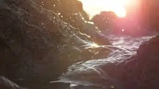 Rocky beach detail close up at sunset, slow motion | Free stock footage