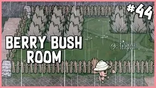 🐷 Berry Bush Room in Hamlet | Don't Starve Hamlet Early Access Gameplay | Part 44