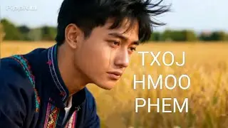 Txoj hmoo phem.(David Yang)   Cover (AI)Fwmxyooj24. Music