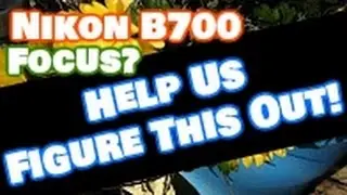 Nikon B700 4K Ultra HD Video Test | Zoom and Focus - Close Objects