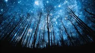 Zofos - In ambient nature