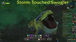 Storm-Touched Swoglet Pet Location WoW