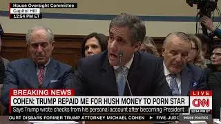 Raskin Questions Michael Cohen in Oversight Hearing