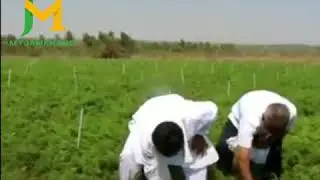 D K Shivakumar funny video
