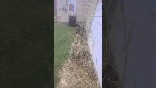I think he sees us