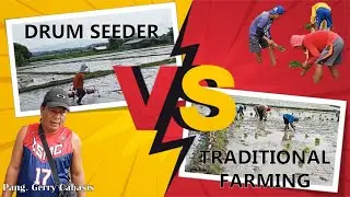 VLOG #7 | DRUM SEEDER VS. TRADITIONAL FARMING | WITH PANGULONG GERRY CABASIS | ZALDY ROJALES