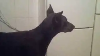 20131122 1954591