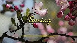 Spring | Ambient No Copyright Music