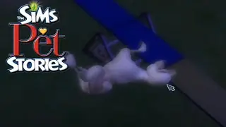 The Sims 2: Pets Stories | Best in Show | Full Story Gameplay | No Commentary Longplay