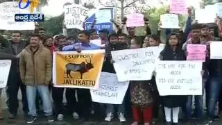 pro-Jallikattu protest held in Delhi