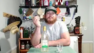 Seagrams Lime Twisted Gin Review
