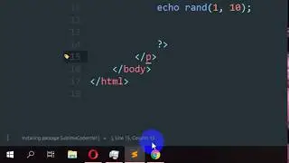 How to use Sublime Text as a Netbeans Java IDE | SublimeCodeIntel