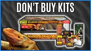 Reviewing Reptile Kits: Are Reptile Starter Kits Worth Your Money?
