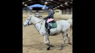 horse riding fun and education#horseriding #subscribemychannel #subscribe #speedgate#lemieux #cameo