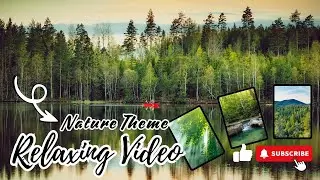 Relaxing Video | Nature Relaxing | Relaxing Music | Nature Theme | Relaxing Sound | Silence