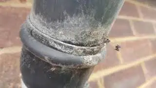Gutter Cleaning & Inspection Video 2 of 9 (Cippenham)