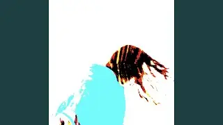 iPop