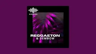 Seven Sounds - Reggaeton & Dembow (Sample Pack)