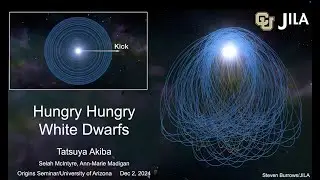 Hungry, Hungry White Dwarfs: Tidal Disruption of Planetesimals Post-Natal Kick (Tatsuya Akiba, CU)