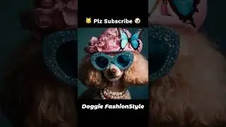 Doggy Fashion Show: The Coolest Dog Outfits You&rsquo;ve Ever Seen! #comedy #ai #dog  #fashion #memes