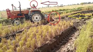 tractors working on the farm.NS DESI C