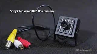 Wired Bird Box Camera Kit with Night Vision