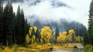 Cat Eye - Autumn Leaves (chill out music)