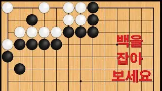 바둑 묘수 사활 - 사뭇치게 못 잊는 묘수가 나옵니다. 백을 잡아보세요