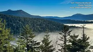 Bayerischer Wald - Mein Heimatland