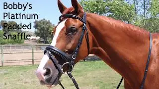 Bobby's Platinum Pad Snaffle Bridle