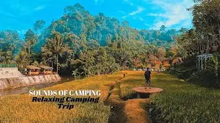 SOLO Camping in a WARM TENT comfortable and relaxing shelter -  ASMR - BENGKULU BUKIT DURIAN