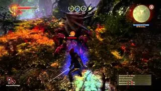 The Witcher 2 - Arachas fight