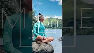 One Minute to Feel Better | Gratitude Flash@MOLEMindfulLife #mindfulliving #slowliving