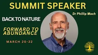 Gut-Brain Harmony: Natures Secret to Mood, Energy & Mental Clarity