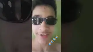 nova m&uacute;sica mestre dos graves