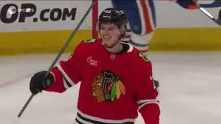 Lukas Reichel - All Goals 2024-25