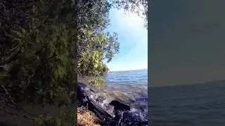 Partridge Point: where the lake is clearer than your weekend plans. #canada #lake #ontario
