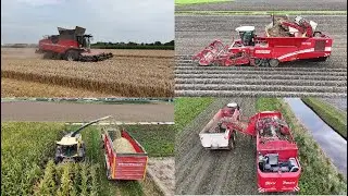 Graan dorsen aardappelen en bieten rooien en mais hakselen
