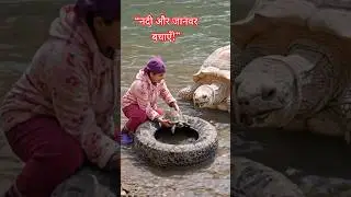 &ldquo;SAVE THE LITTLE TURTLE! 🐢 | RIVER & WILDLIFE RESCUE&rdquo;