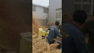 weiwei new arrival grass cutting and crushing feed processing machine