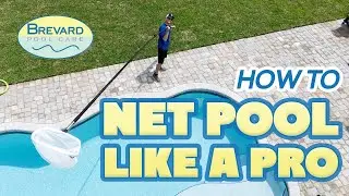 How to Net A Pool Like A PRO
