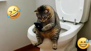 You Laugh You Restart 😻 Funniest Cats and Dogs 2026 😄 🐾 Part 8